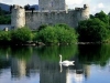 ireland_rosscastle_killarney