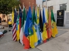 CountyFlags
